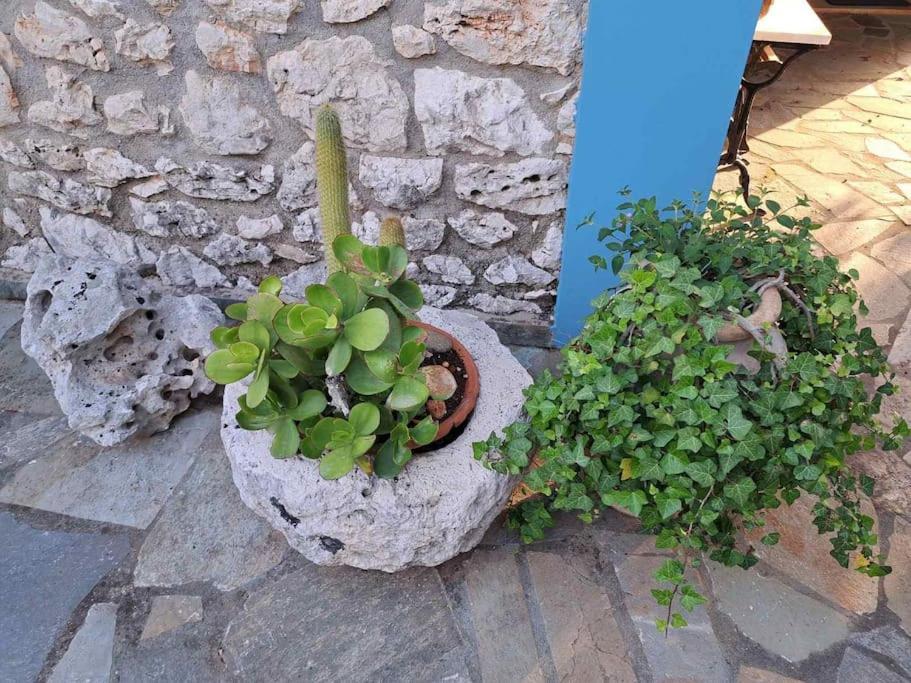 Fragosiko - Rustic Retreat In Kefalonia Argostóli Extérieur photo