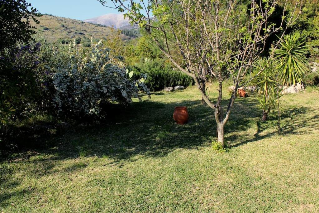 Fragosiko - Rustic Retreat In Kefalonia Argostóli Extérieur photo