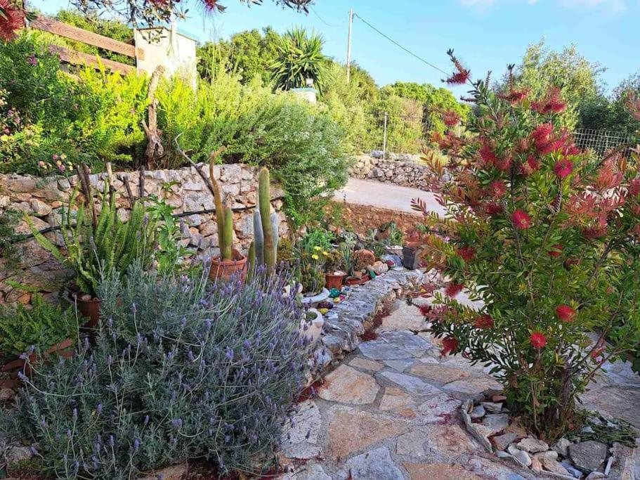 Fragosiko - Rustic Retreat In Kefalonia Argostóli Extérieur photo