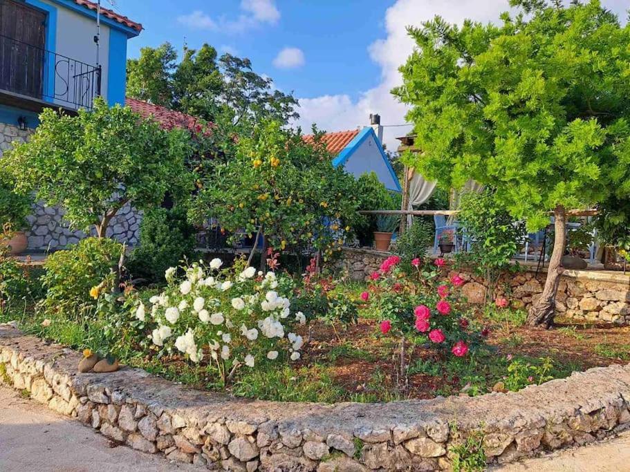 Fragosiko - Rustic Retreat In Kefalonia Argostóli Extérieur photo