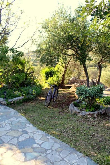 Fragosiko - Rustic Retreat In Kefalonia Argostóli Extérieur photo