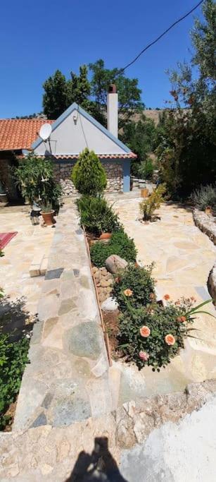 Fragosiko - Rustic Retreat In Kefalonia Argostóli Extérieur photo