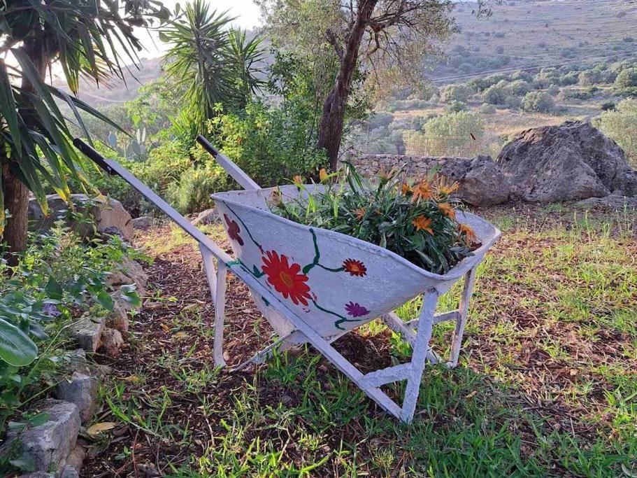 Fragosiko - Rustic Retreat In Kefalonia Argostóli Extérieur photo