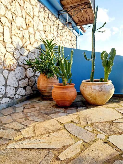 Fragosiko - Rustic Retreat In Kefalonia Argostóli Extérieur photo